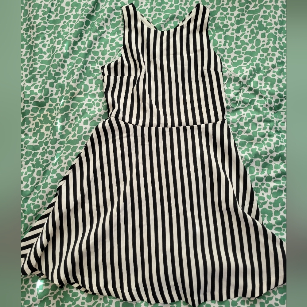 Alythea Stripped Skater Dress